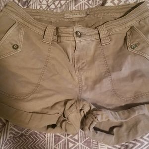 Torrid Shorts